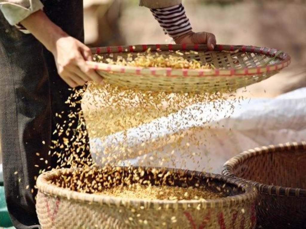 19 Days Explore Vietnam