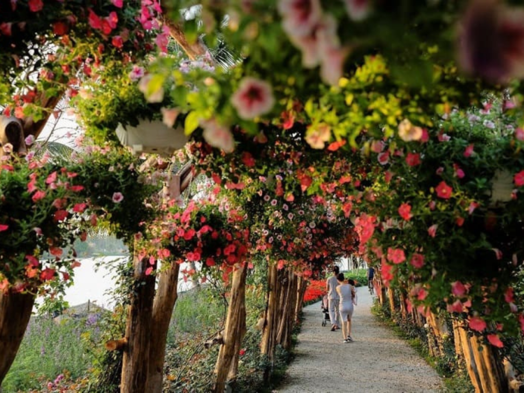 19 Days Explore Vietnam